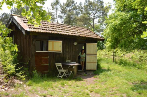Гостиница Cabane en forêt  Онесс--Лаари